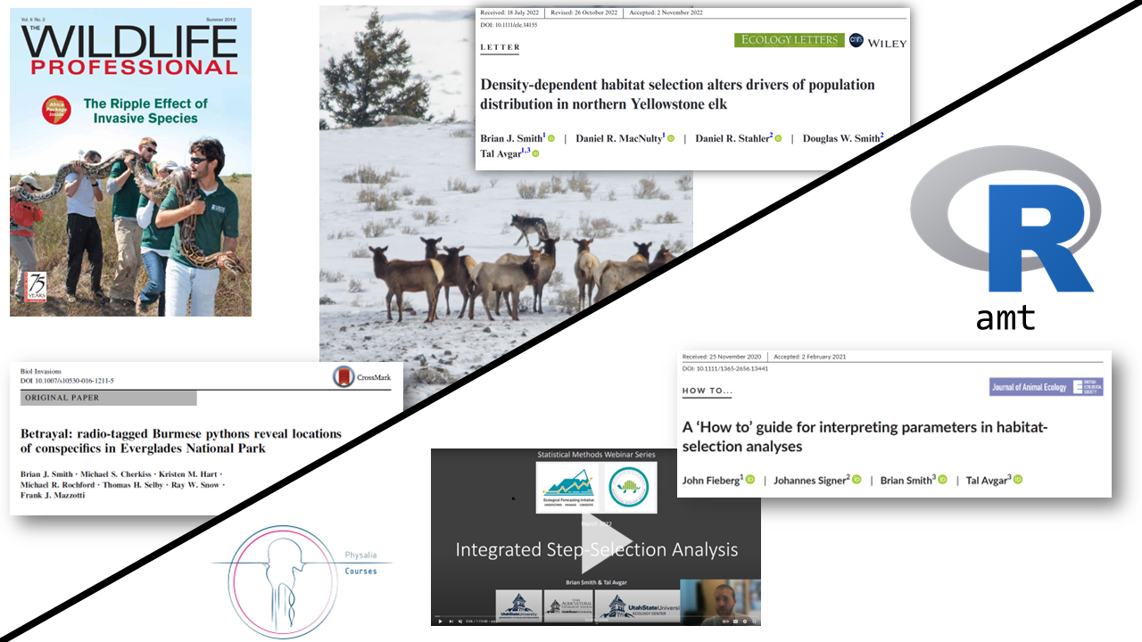 Brian’s split expertise